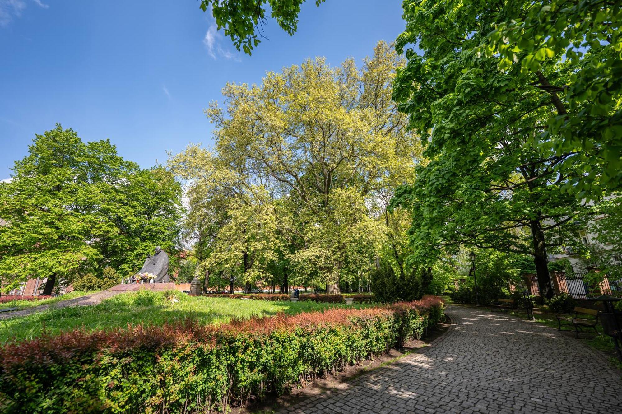 Wenecja Parking Gratis Moxy Te&Am Cracow Apartment Krakow Bagian luar foto